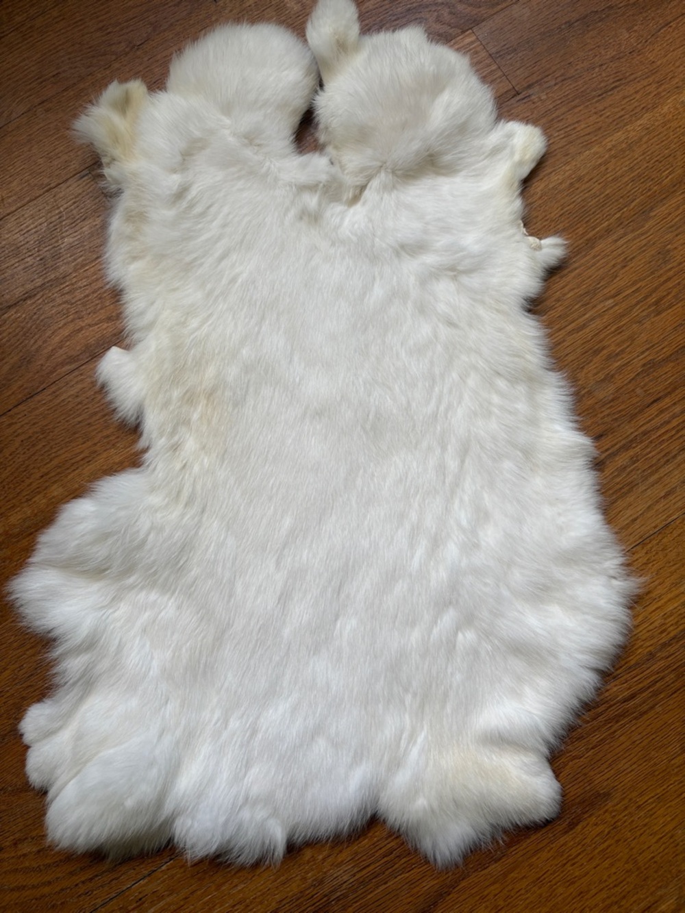 0857 rabbit pelt